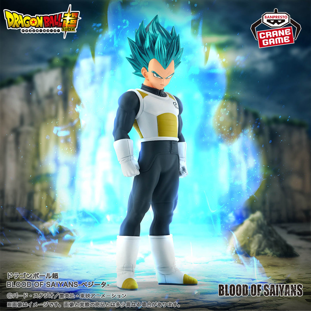 DRAGON BALL SUPER BLOOD OF SAIYANS-VEGETA-
