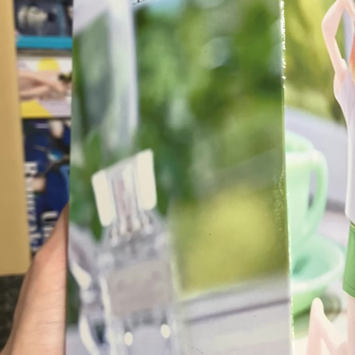 The Quintessential Quintuplets Figure P